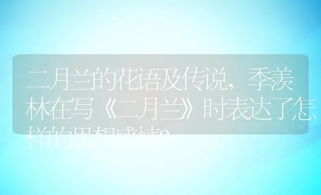 二月兰的花语及传说,季羡林在写《二月兰》时表达了怎样的思想感情？ | 养殖科普