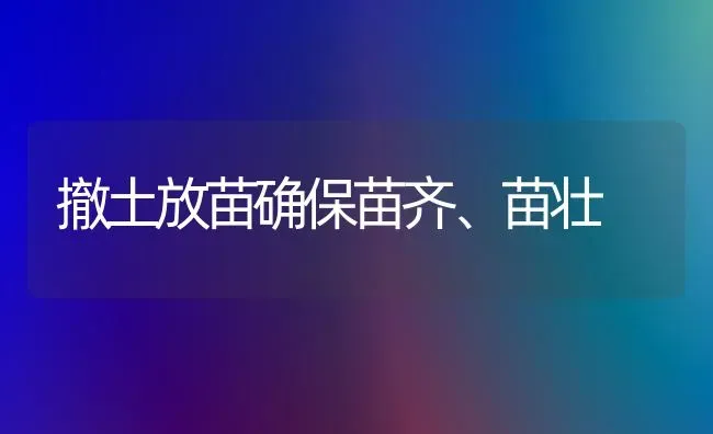 撤土放苗确保苗齐、苗壮 | 养殖知识