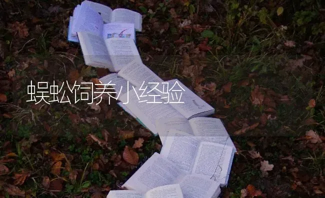 蜈蚣饲养小经验 | 养殖技术大全