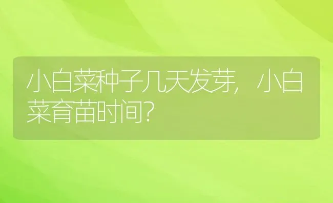 萨摩耶的优缺点,萨摩耶的优缺点有哪些 | 养殖科普