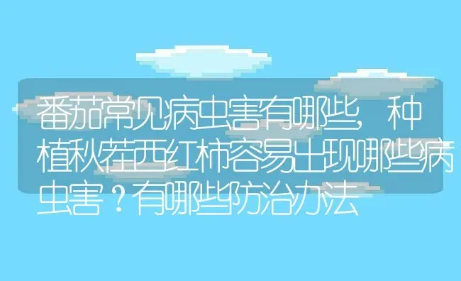 番茄常见病虫害有哪些,种植秋茬西红柿容易出现哪些病虫害？有哪些防治办法 | 养殖学堂