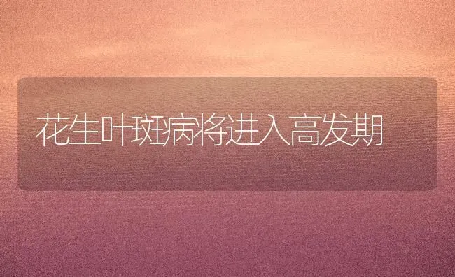 花生叶斑病将进入高发期 | 养殖技术大全