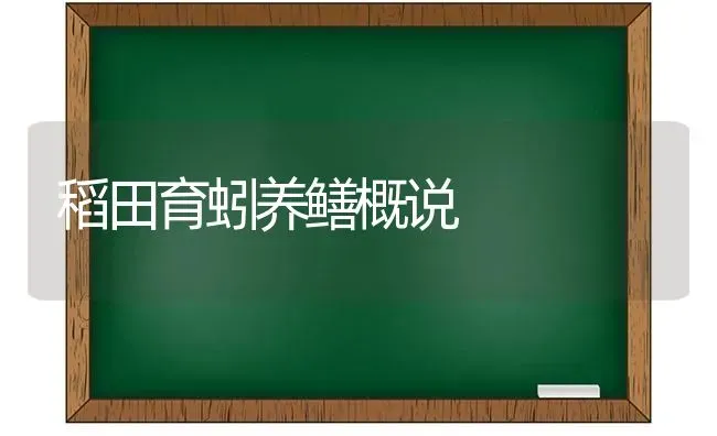 稻田育蚓养鳝概说 | 养殖技术大全