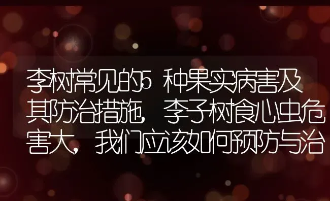 李树常见的5种果实病害及其防治措施,李子树食心虫危害大，我们应该如何预防与治疗 | 养殖学堂