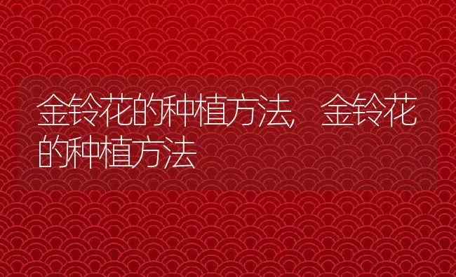 金铃花的种植方法,金铃花的种植方法 | 养殖科普
