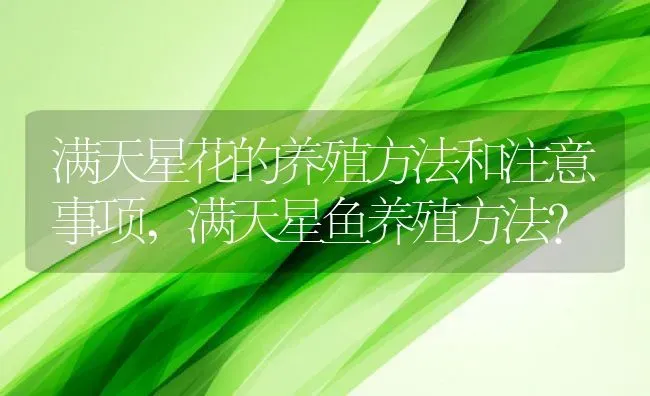 满天星花的养殖方法和注意事项,满天星鱼养殖方法？ | 养殖科普
