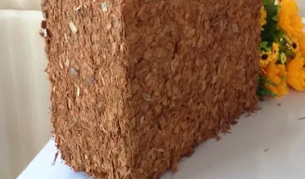 椰壳种花的作用与功效 | 常识大全