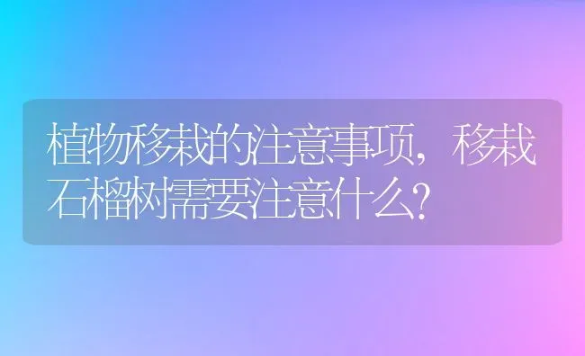 植物移栽的注意事项,移栽石榴树需要注意什么？ | 养殖科普