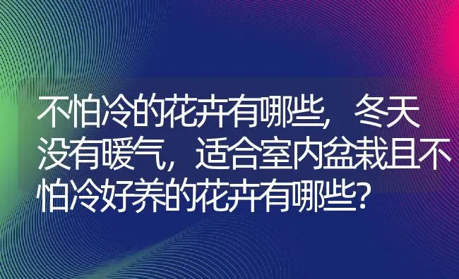 不怕冷的花卉有哪些,冬天没有暖气，适合室内盆栽且不怕冷好养的花卉有哪些？ | 养殖科普