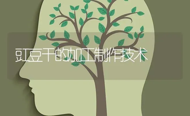 豇豆干的加工制作技术 | 养殖技术大全
