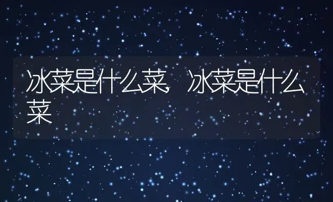 冰菜是什么菜,冰菜是什么菜 | 养殖科普