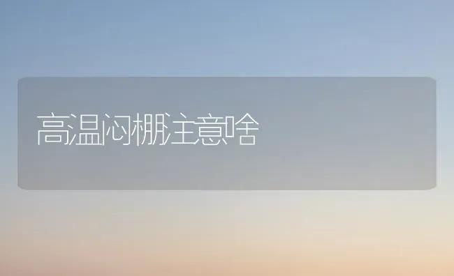 高温闷棚注意啥 | 养殖知识