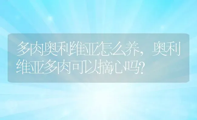 多肉奥利维亚怎么养,奥利维亚多肉可以摘心吗？ | 养殖科普