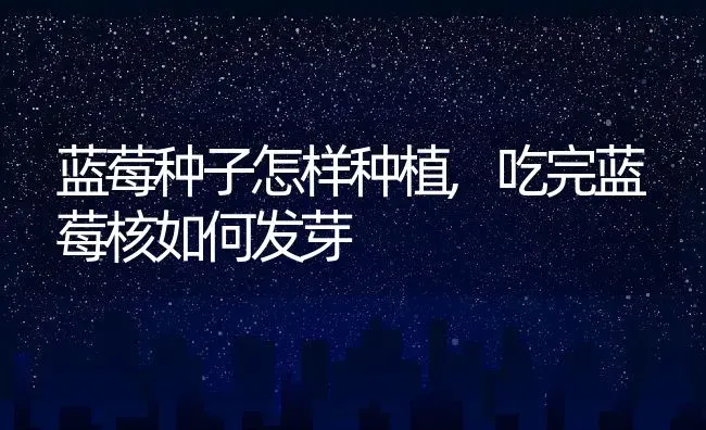 蓝莓种子怎样种植,吃完蓝莓核如何发芽 | 养殖学堂