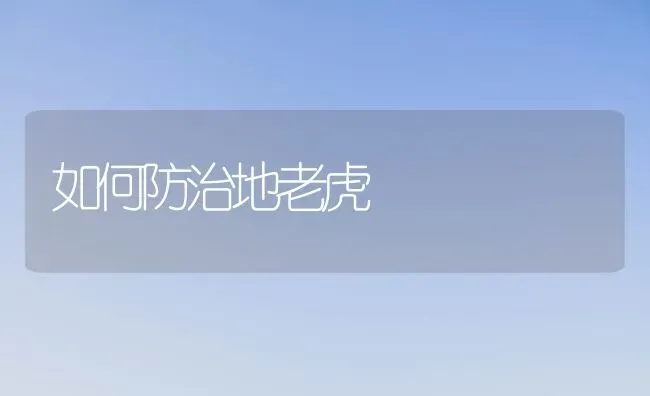 如何防治地老虎 | 养殖技术大全