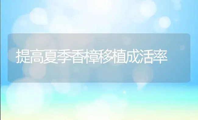 提高夏季香樟移植成活率 | 养殖知识
