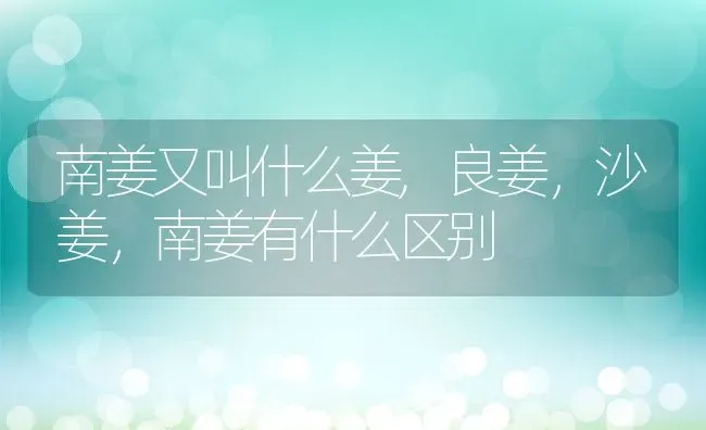 南姜又叫什么姜,良姜，沙姜，南姜有什么区别 | 养殖学堂