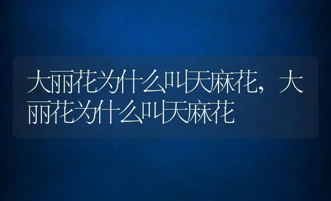 大丽花为什么叫天麻花,大丽花为什么叫天麻花 | 养殖科普