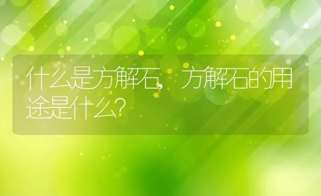 什么是方解石,方解石的用途是什么？ | 养殖学堂