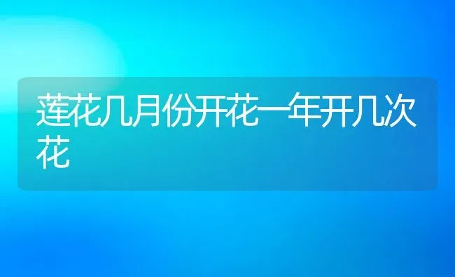 莲花几月份开花一年开几次花 | 养殖学堂