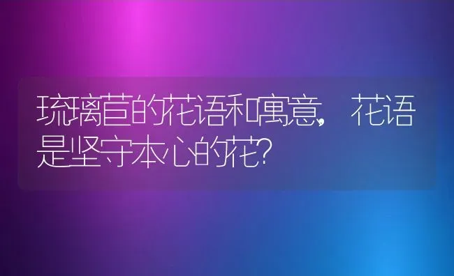 琉璃苣的花语和寓意,花语是坚守本心的花？ | 养殖科普