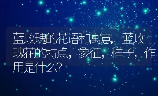 蓝玫瑰的花语和寓意,蓝玫瑰花的特点，象征，样子，作用是什么？ | 养殖科普