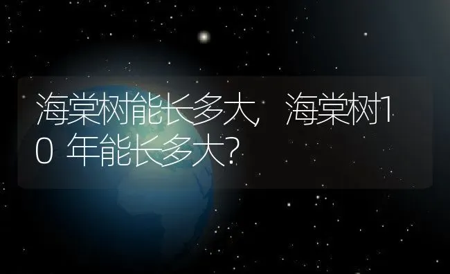 海棠树能长多大,海棠树10年能长多大？ | 养殖科普