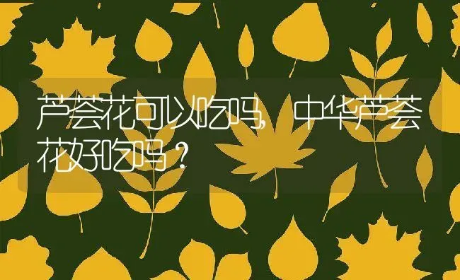 芦荟花可以吃吗,中华芦荟花好吃吗？ | 养殖科普