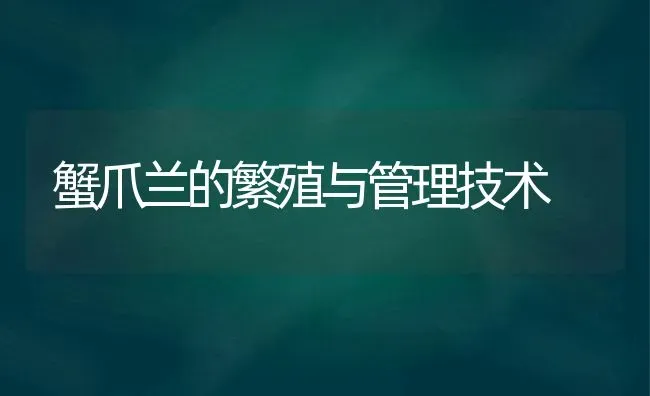 蟹爪兰的繁殖与管理技术 | 养殖技术大全