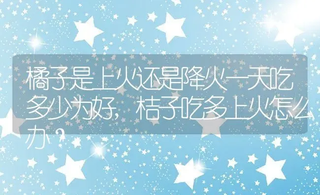 橘子是上火还是降火一天吃多少为好,桔子吃多上火怎么办？ | 养殖科普