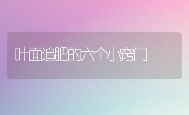 叶面追肥的六个小窍门 | 养殖技术大全