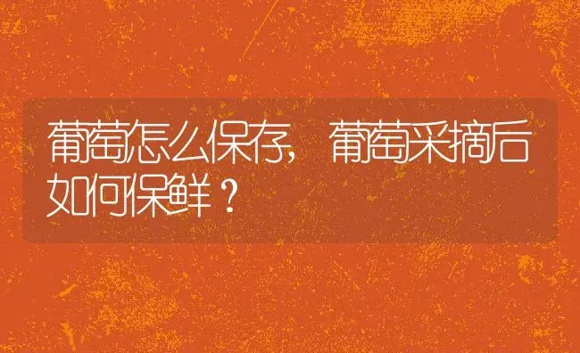 葡萄怎么保存,葡萄采摘后如何保鲜？ | 养殖科普