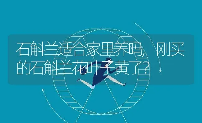 银杏树什么时候变黄,银杏树四季变化？ | 养殖科普