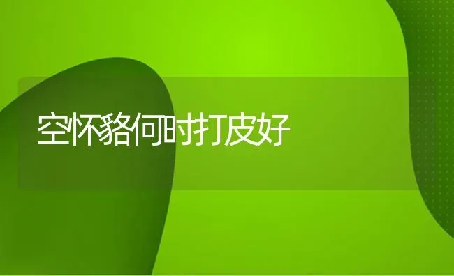 空怀貉何时打皮好 | 养殖知识