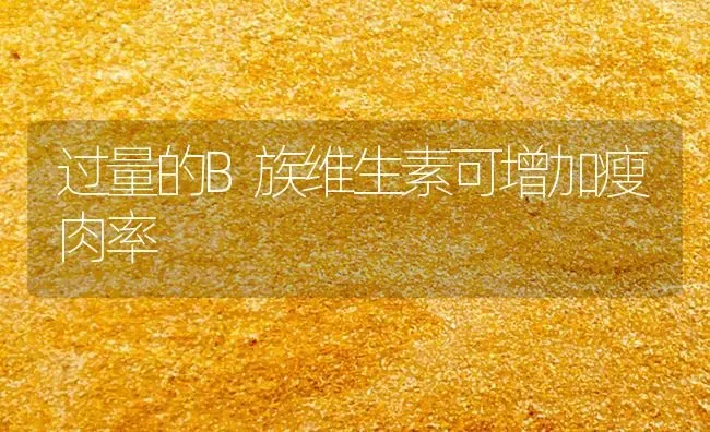 过量的B族维生素可增加瘦肉率 | 养殖技术大全