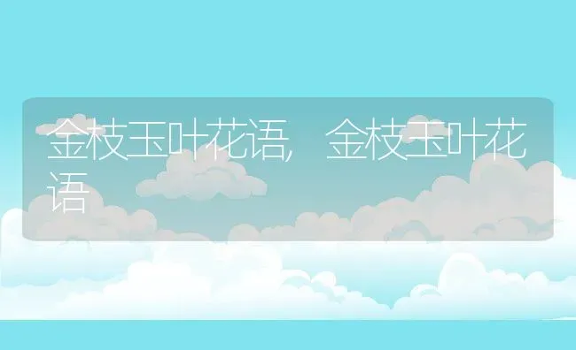 金枝玉叶花语,金枝玉叶花语 | 养殖科普