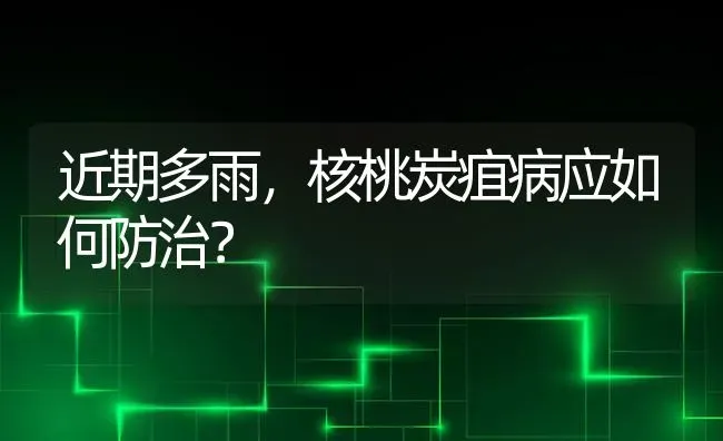 近期多雨,核桃炭疽病应如何防治? | 养殖技术大全