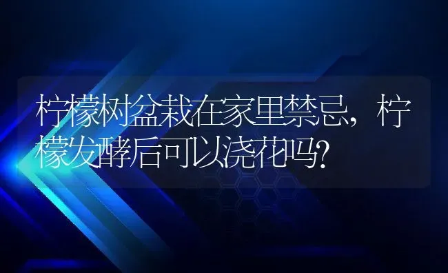 柠檬树盆栽在家里禁忌,柠檬发酵后可以浇花吗？ | 养殖科普