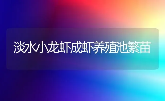 淡水小龙虾成虾养殖池繁苗 | 养殖知识