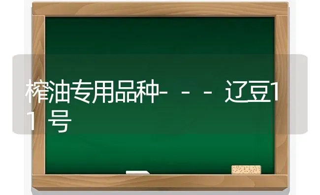 榨油专用品种---辽豆11号 | 养殖技术大全