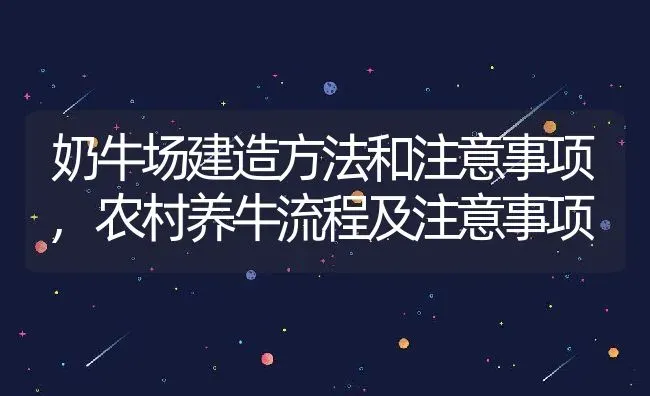 奶牛场建造方法和注意事项,农村养牛流程及注意事项 | 养殖学堂