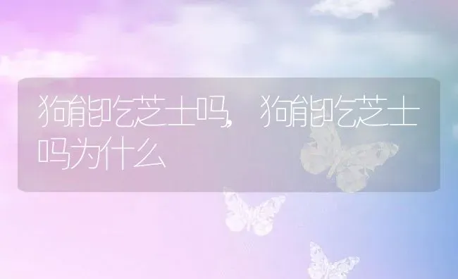 狗能吃芝士吗,狗能吃芝士吗为什么 | 养殖科普
