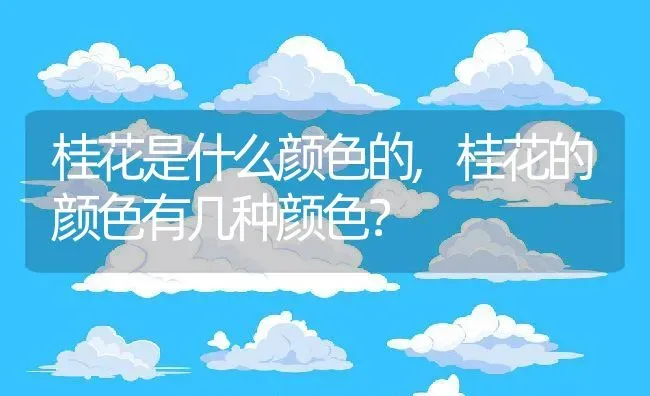 桂花是什么颜色的,桂花的颜色有几种颜色？ | 养殖科普