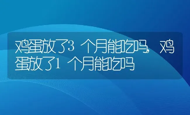 鸡蛋放了3个月能吃吗,鸡蛋放了1个月能吃吗 | 养殖科普