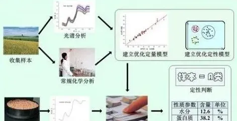 近红外光谱技术在饲料蛋白含量测定中的应用 | 三农知识