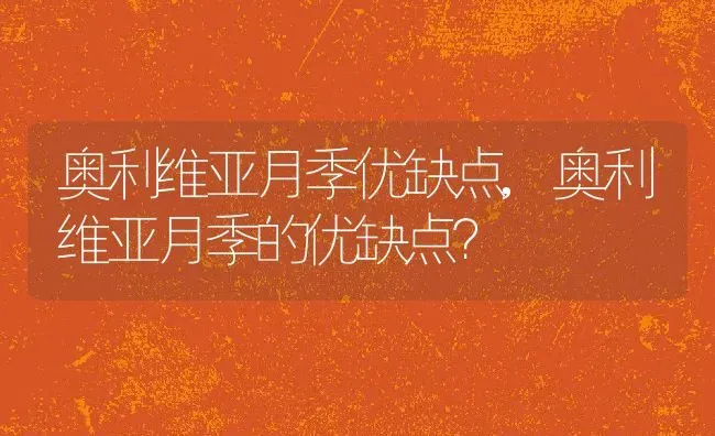 奥利维亚月季优缺点,奥利维亚月季的优缺点？ | 养殖科普