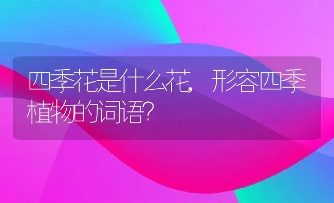 四季花是什么花,形容四季植物的词语？ | 养殖科普