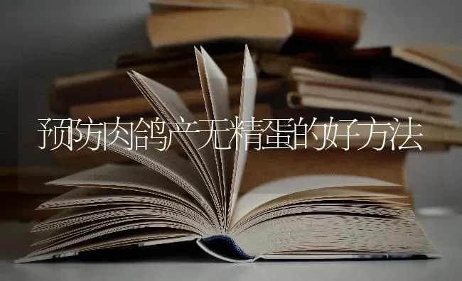 预防肉鸽产无精蛋的好方法 | 养殖技术大全