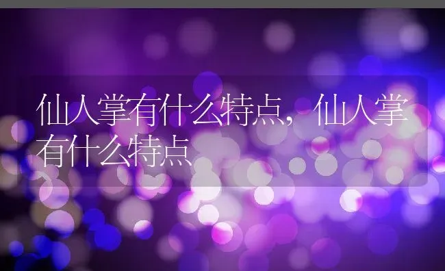 仙人掌有什么特点,仙人掌有什么特点 | 养殖科普