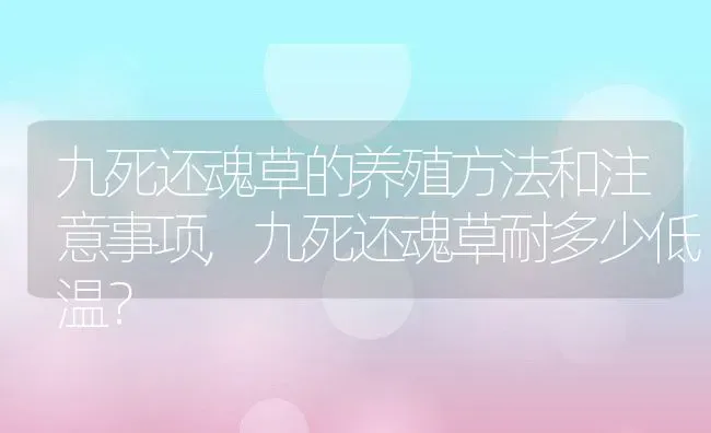 家里养盆“清香木”,清香木的养殖方法和注意事项有哪些？ | 养殖科普